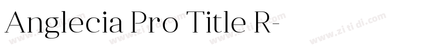 Anglecia Pro Title R字体转换